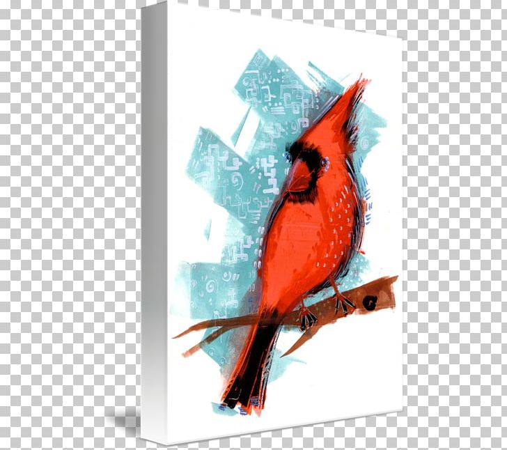 Feather Beak PNG, Clipart, Beak, Bird, Cardinal, Feather, Red Cardinal Free PNG Download