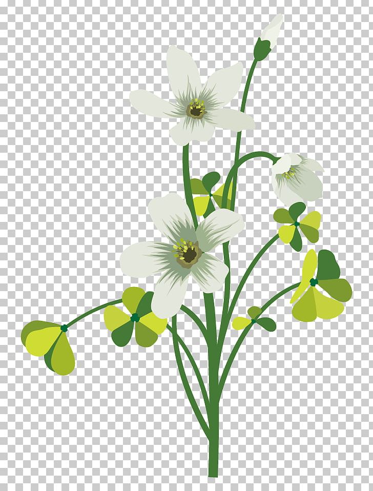 Flower Drawing Four-leaf Clover PNG, Clipart, Branch, Christmas Decoration, Color Depth, Flower Arranging, Flowers Free PNG Download