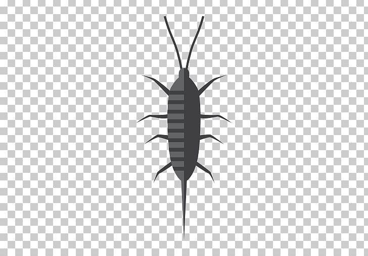 Insect Silverfish Pest Cockroach Termite PNG, Clipart, Animals, Arthropod, Black And White, Centipedes, Cockroach Free PNG Download