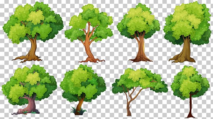 Tree Planting Illustration PNG, Clipart, Autumn Tree, Christmas Tree, Encapsulated Postscript, Family Tree, Flowerpot Free PNG Download