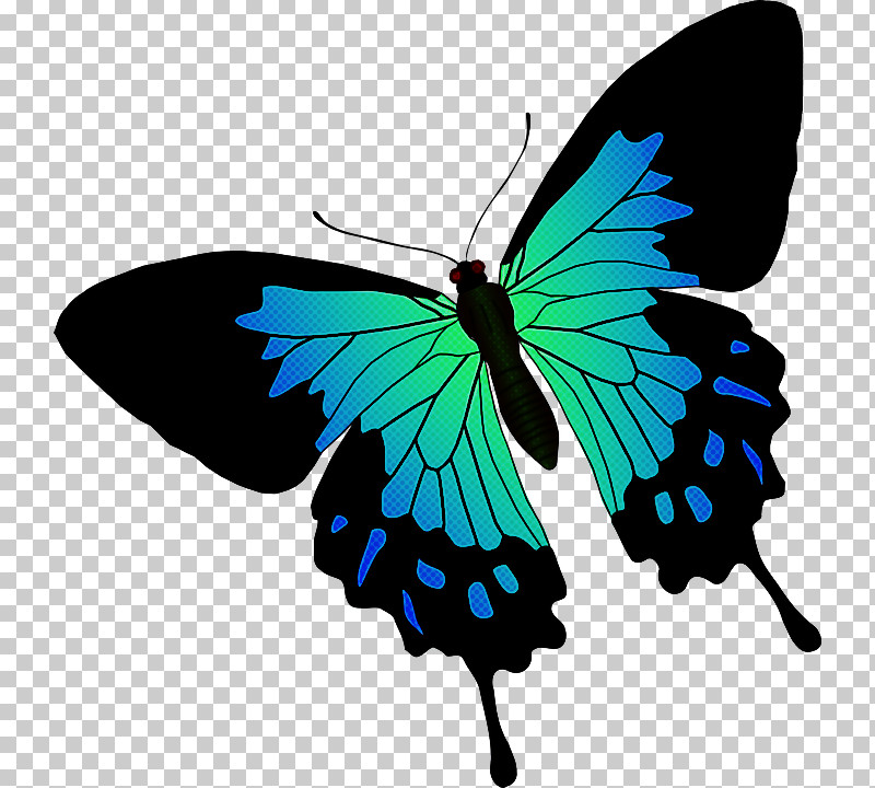 Moths And Butterflies Butterfly Insect Pollinator Turquoise PNG, Clipart, Brushfooted Butterfly, Butterfly, Insect, Lycaenid, Moths And Butterflies Free PNG Download