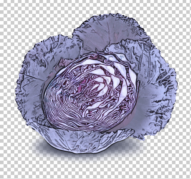 Cabbage Purple Violet Wild Cabbage Vegetable PNG, Clipart, Cabbage, Dishware, Flower, Plant, Purple Free PNG Download