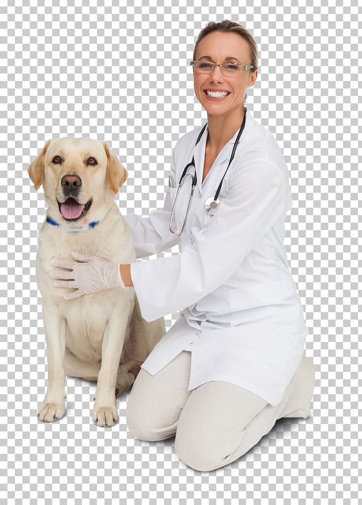 Dog Breed LinkedIn Afacere Veterinarian Puppy PNG, Clipart, Accounting, Afacere, Carnivoran, Companion Dog, Dog Free PNG Download