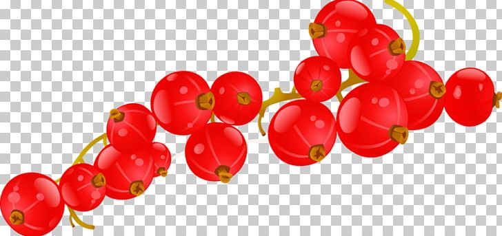 Fruit Drawing PNG, Clipart, Bell Pepper, Bell Peppers And Chili Peppers, Berry, Cherry, Currant Free PNG Download