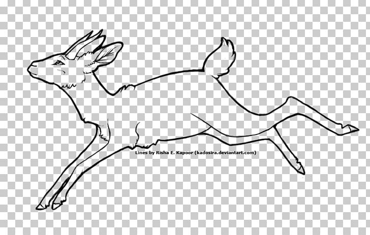 Line Art Drawing Coloring Book Sketch PNG, Clipart,  Free PNG Download