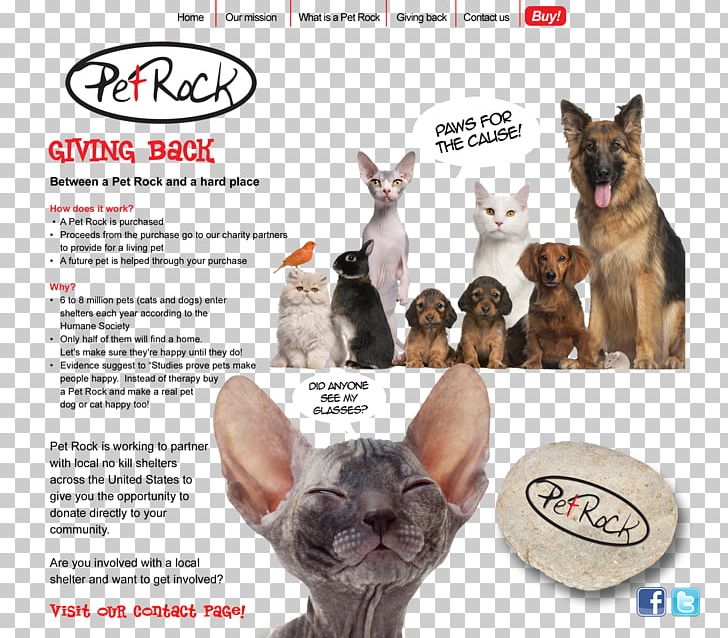 Pet Sitting Cat Veterinarian Dog PNG, Clipart, Animals, Carnivoran, Cat, Cat Like Mammal, Dog Free PNG Download