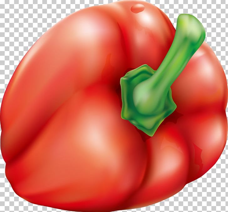 Plum Tomato Bush Tomato Chili Con Carne Eggplant Chili Pepper PNG, Clipart, Bell Pepper, Chili Pepper, Decorative, Food, Fruit Free PNG Download