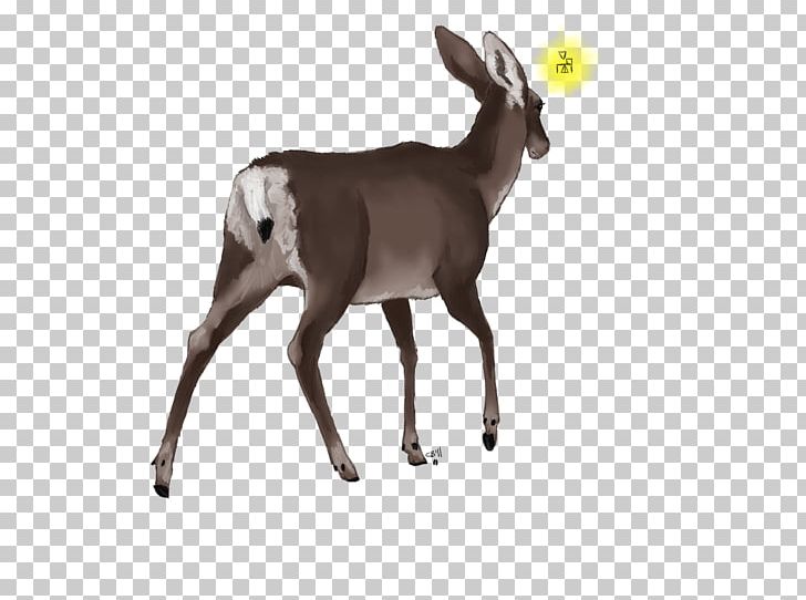 Reindeer Antelope White-tailed Deer Goat PNG, Clipart, Animal, Animals, Antelope, Antler, Cattle Free PNG Download