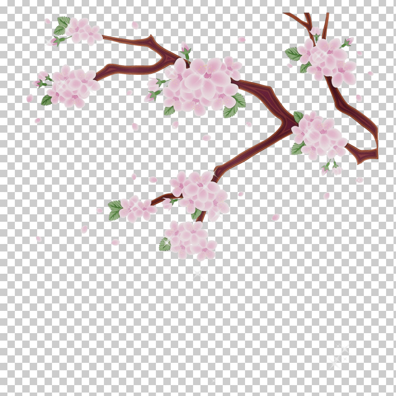 Cherry Blossom PNG, Clipart, Blossom, Branch, Cherry Blossom, Flower, Paint Free PNG Download