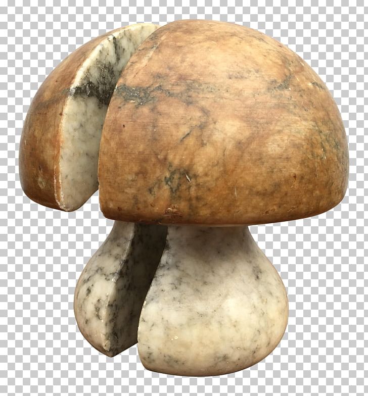 Common Mushroom PNG, Clipart, Agaricaceae, Agaricomycetes, Alabaster, Bookends, Champignon Mushroom Free PNG Download