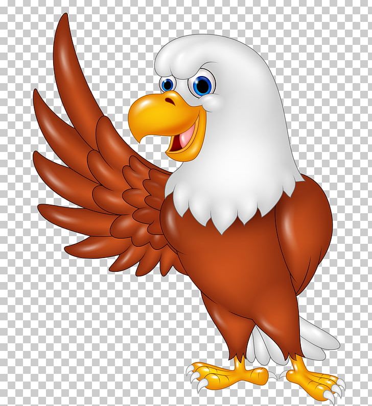 Eagle PNG, Clipart, Animals, Beak, Bird, Bird Of Prey, Cartoon Free PNG Download