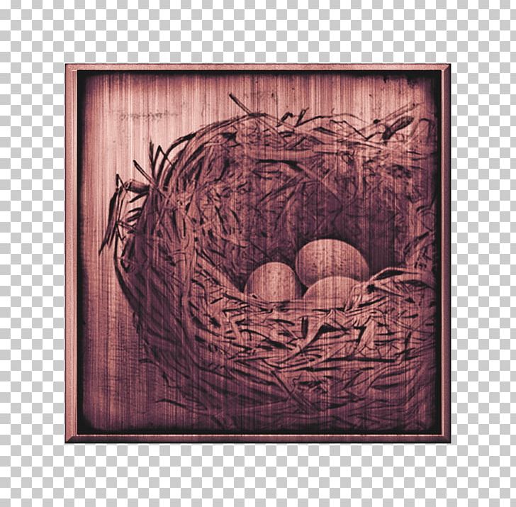 Easter Bird Nest Frames PNG, Clipart, Bird, Bird Nest, Creative Nest On Shuya, Easter, Facebook Free PNG Download