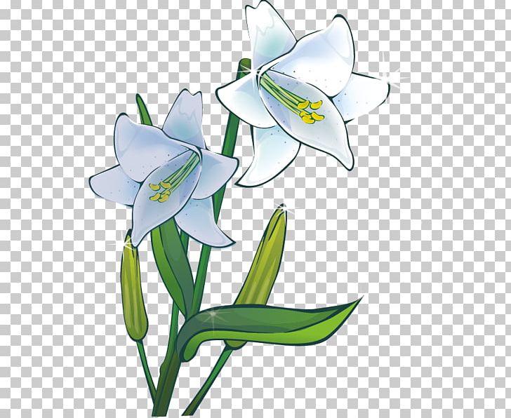 Lilium Drawing Plant Flower PNG, Clipart, Amaryllis Family, Artwork, Cell Wall, Cut Flowers, Drawing Free PNG Download