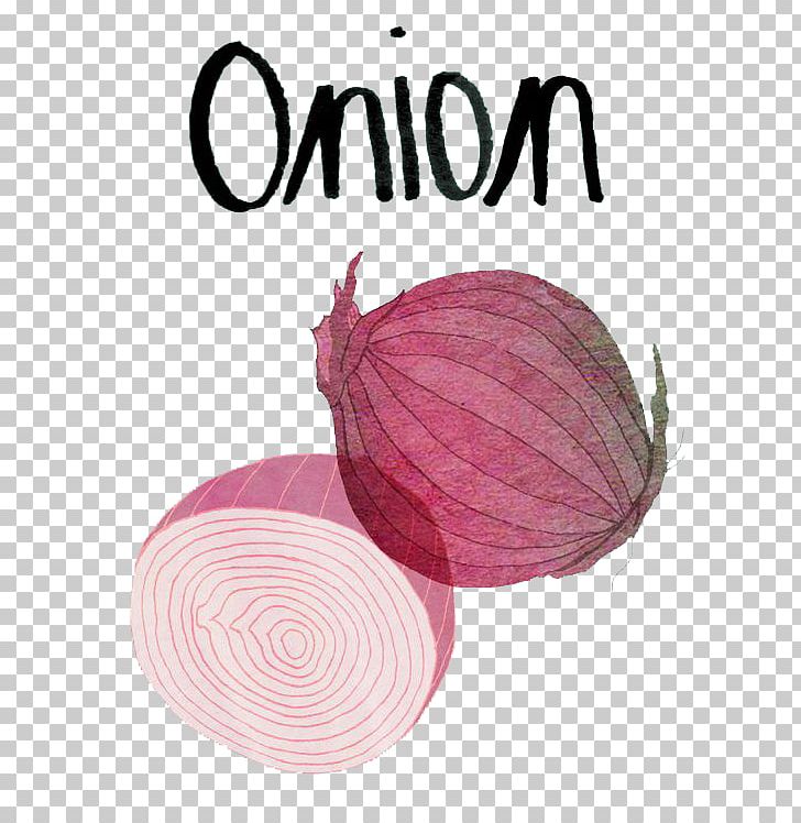 Red Onion Vegetable Food Illustration PNG, Clipart, Allium Fistulosum, Drawing, English, Food, Green Onion Free PNG Download