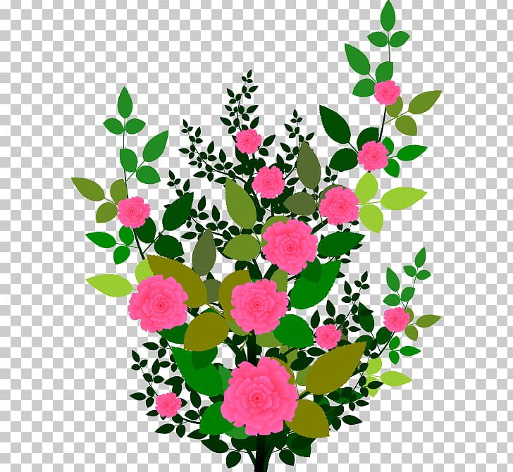 Rose Shrub Plant Flower PNG, Clipart, Annual Plant, Blog, Branch, Bunga, Clip Art Free PNG Download