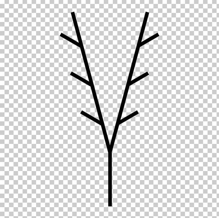 Twig Line Plant Stem Leaf Angle PNG, Clipart, Angle, Art, Black And White, Branch, Family Free PNG Download