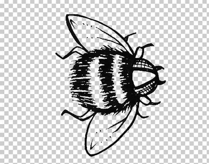 Honey Bee Abbotsford The Home Of Sir Walter Scott Butterfly Garden PNG, Clipart, Abbotsford Centre, Animal, Arthropod, Artwork, Bee Free PNG Download