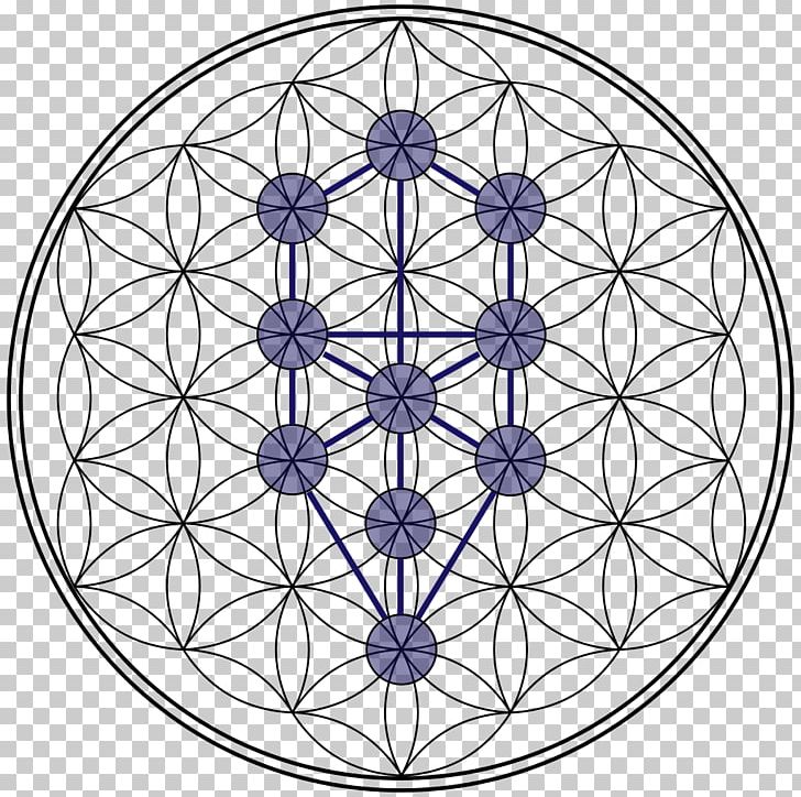 sacred geometry tree of life