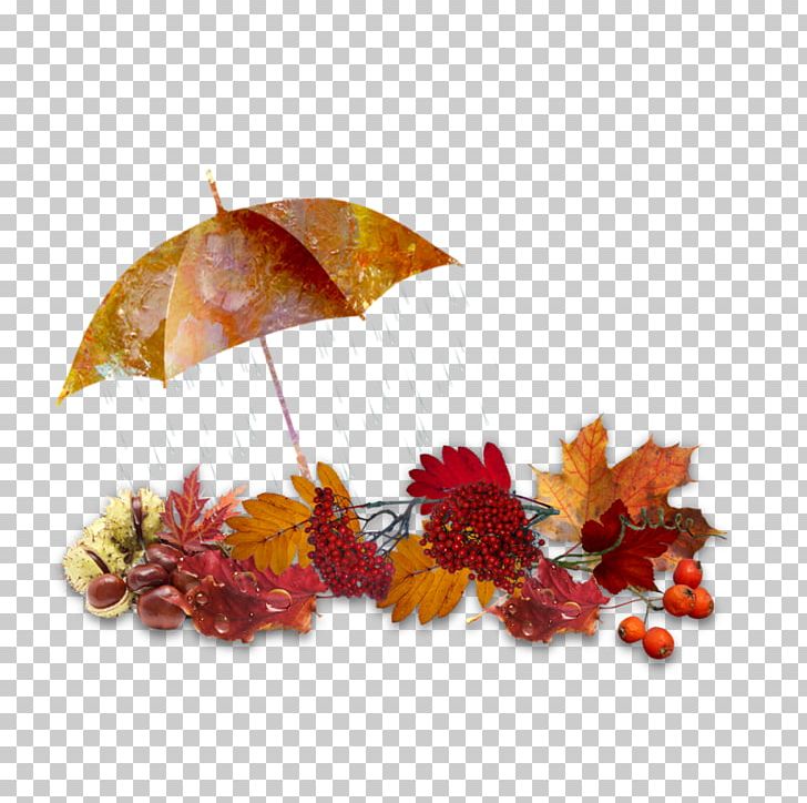 Umbrella Computer Icons PNG, Clipart, Blog, Bookmark, Computer Icons, Delicious, Fruit Free PNG Download