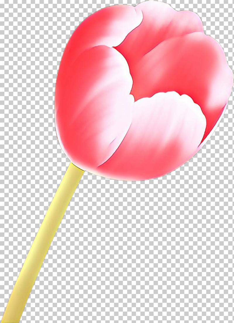 Pink Tulip Petal Plant Heart PNG, Clipart, Flower, Heart, Lollipop, Petal, Pink Free PNG Download