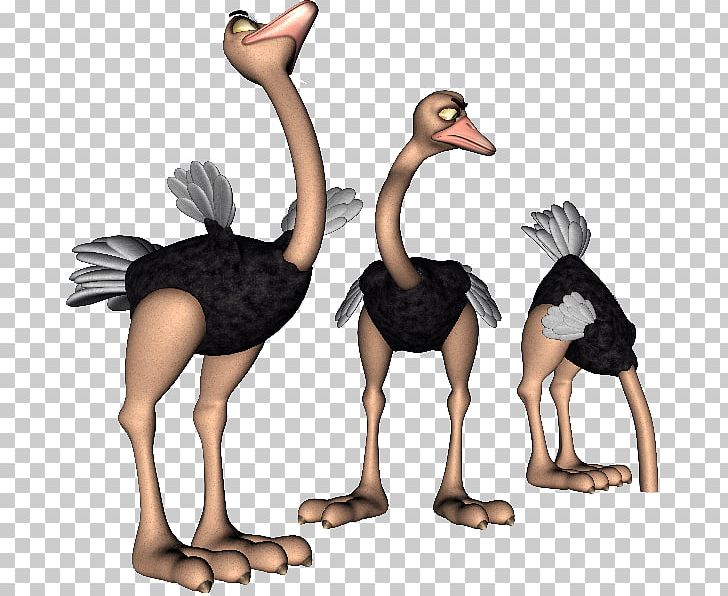 Common Ostrich Cartoon Drawing PNG, Clipart, Animated Film, Beak, Bedknobs And Broomsticks, Bird, Cartoon Free PNG Download