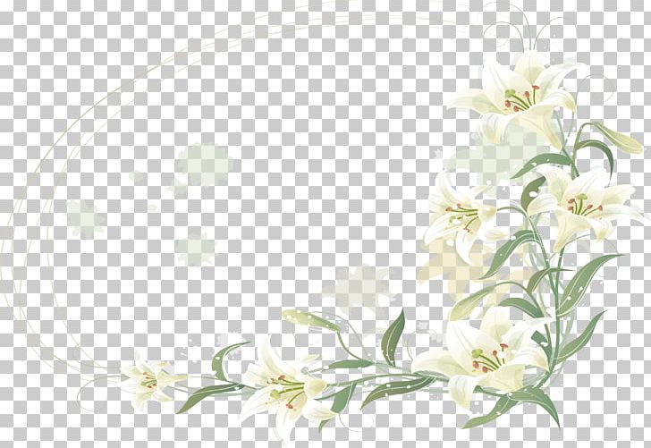 Flower Lilium PNG, Clipart, Branch, Computer Wallpaper, Download, Drawing, Flora Free PNG Download