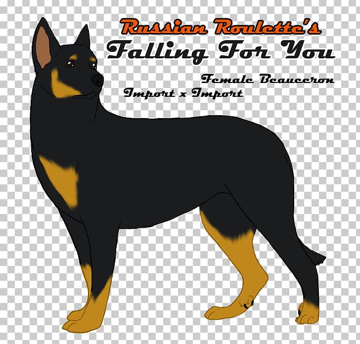 Whiskers Australian Kelpie Cat Dog Breed PNG, Clipart, Animals, Australia, Australian Kelpie, Australians, Breed Free PNG Download
