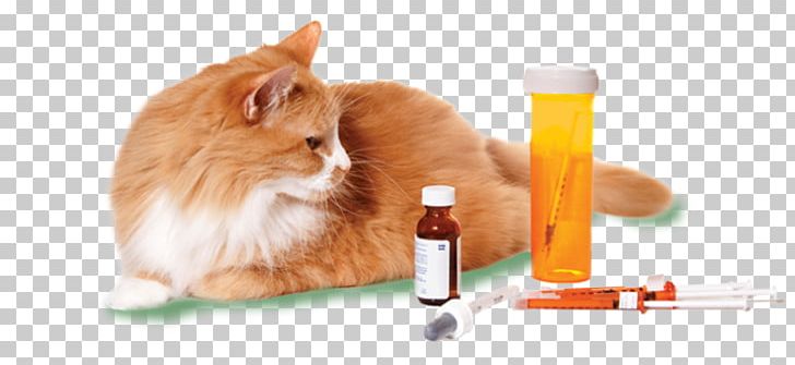 Dog Cat Veterinarian Pharmaceutical Drug Medicine PNG, Clipart, Animals, Cat, Cat Like Mammal, Dog, Health Free PNG Download
