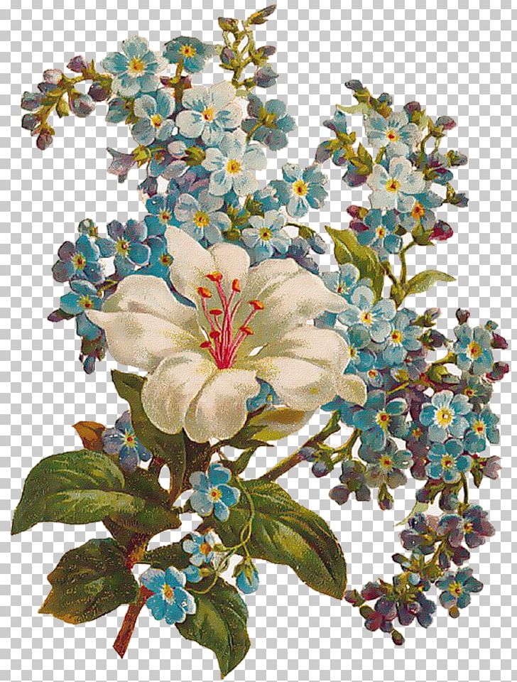 Flower Floral Design PNG, Clipart, Art, Blossom, Branch, Cut Flowers, Decoupage Free PNG Download