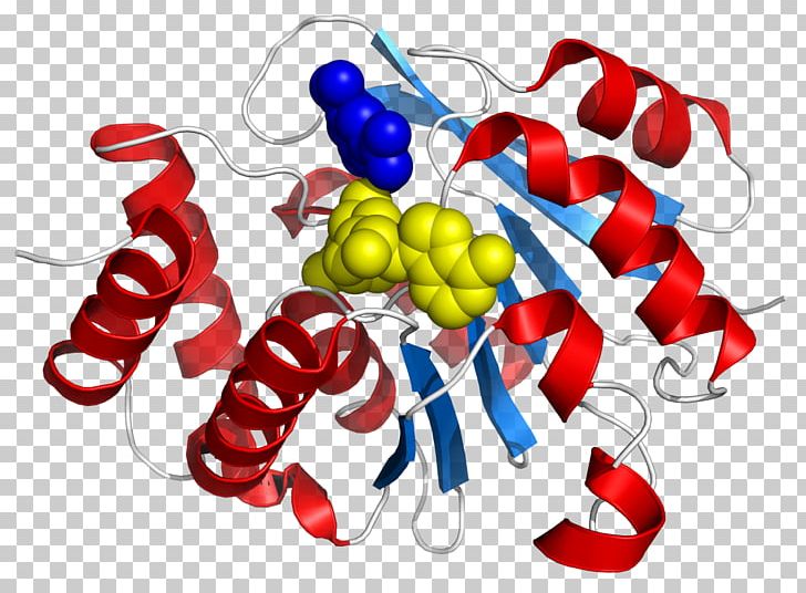 Catechol-O-methyltransferase Entacapone PNG, Clipart, Catechol, Catecholamine, Catecholomethyltransferase, Comt Inhibitor, Dopamine Free PNG Download