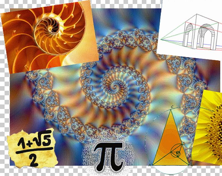 Nautilus Mathematics Fractal Sacred Geometry Seashell PNG, Clipart, Fibonacci Number, Fractal, Fractal Art, Geometry, Mathematical Joke Free PNG Download