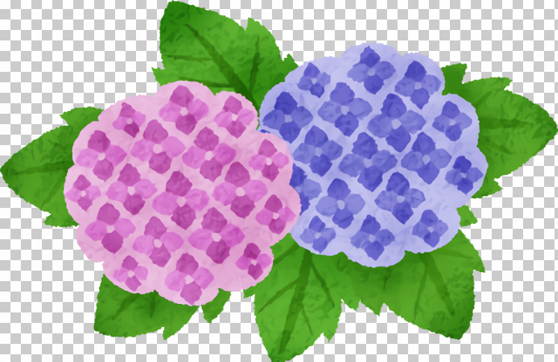 Flower Purple Violet Plant Leaf PNG, Clipart, Cornales, Flower, Hydrangea, Hydrangeaceae, Lantana Free PNG Download