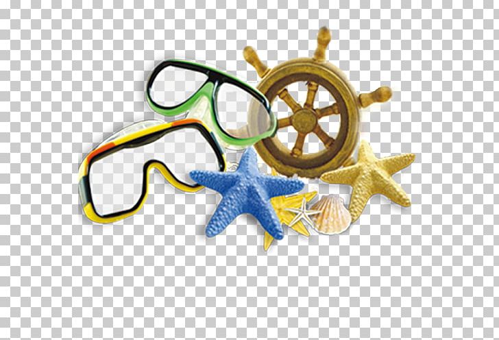 Starfish Shell And Diving Mirror PNG, Clipart, Adobe Illustrator, Adobe Systems, Animals, Dive, Diving Free PNG Download