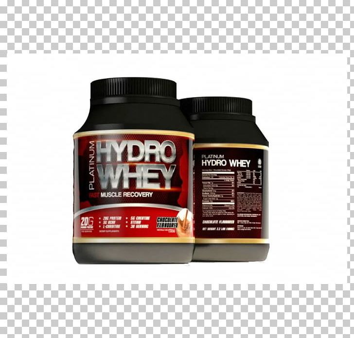 Whey Protein Malaysia Carbohydrate Fat PNG, Clipart, Bodybuilding Supplement, Brand, Carbohydrate, Chocolate, Diet Free PNG Download