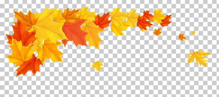 Autumn Desktop PNG, Clipart, Autumn, Autumn Leaf Color, Border, Branch, Clip Art Free PNG Download