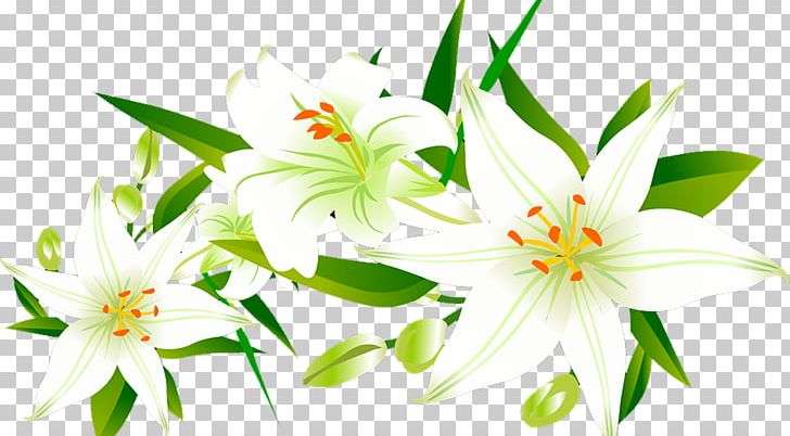 Lilium Floral Design Icon PNG, Clipart, Calla Lily, Cut Flowers, Decoration, Download, Flora Free PNG Download