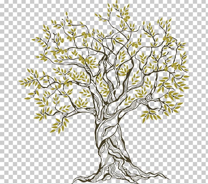 Olive Oil Drawing PNG, Clipart, Art, Black And White, Branch, Drawing, Encapsulated Postscript Free PNG Download