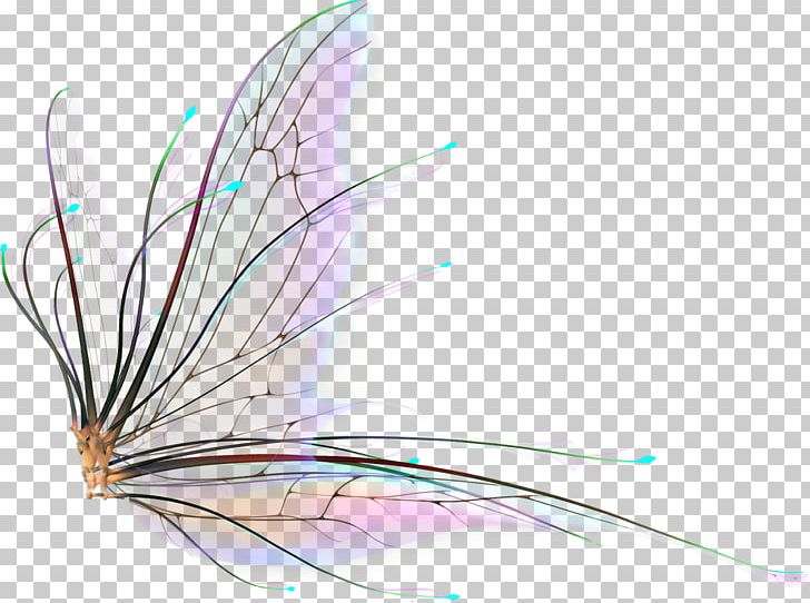 Tooth Fairy Portable Network Graphics Tinker Bell PNG, Clipart, Art, Butterfly, Deco, Drawing, Editing Free PNG Download