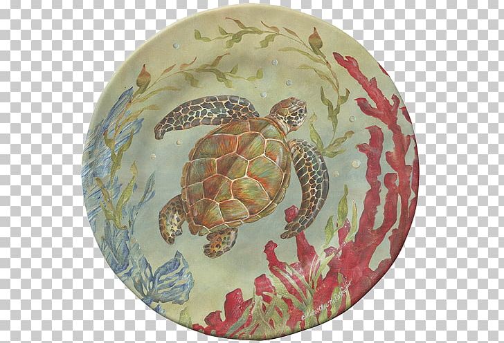 Box Turtles Sea Life Centres Tortoise Plate PNG, Clipart, Bamboo Plate, Box Turtle, Box Turtles, Emydidae, Life Free PNG Download