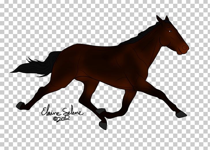 Mustang American Quarter Horse Stallion Foal Pony PNG, Clipart,  Free PNG Download