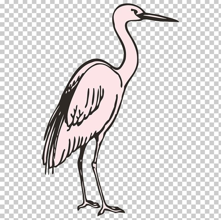 Pelecaniformes Bird Stork Beak PNG, Clipart, Animal, Animals, Artwork, Beak, Bird Free PNG Download