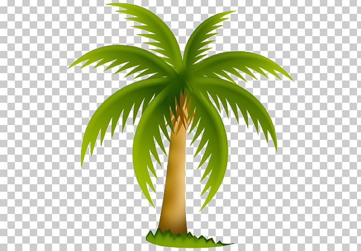 Arecaceae Tree California Palm PNG, Clipart, App, Arecaceae, Arecales, Art, Coconut Free PNG Download