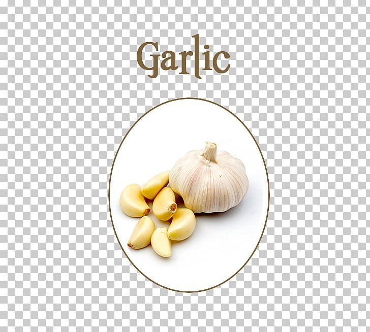 Garlic Presses Food Eating Allicin PNG, Clipart, Allicin, Alliin, Alliinase, Clove, Cooking Free PNG Download