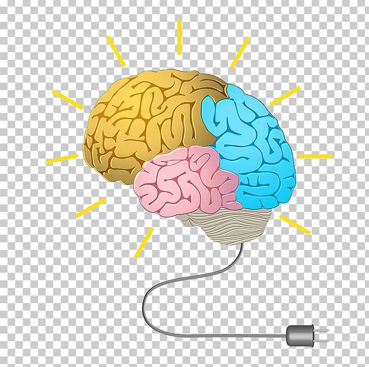 Human Brain Neurofeedback Cognitive Training Memory PNG, Clipart, Brain, Cognition, Cognitive Training, Exercise, Human Brain Free PNG Download