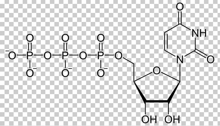 Uridine Triphosphate Uridine Diphosphate Uridine Monophosphate Adenosine Triphosphate PNG, Clipart, Adenosine Triphosphate, Angle, Area, Auto Part, Black And White Free PNG Download