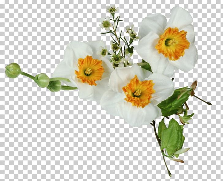 Others Flower Encapsulated Postscript PNG, Clipart, Computer Graphics, Computer Icons, Cut Flowers, Daffodil, Digital Image Free PNG Download
