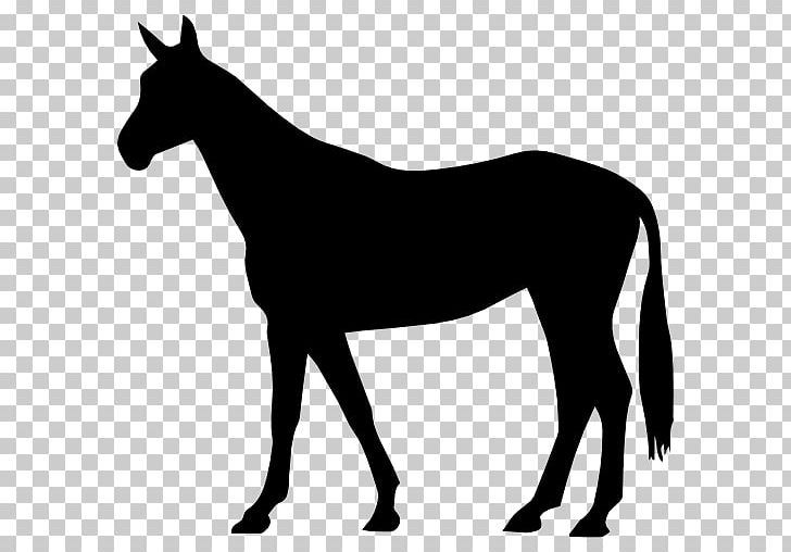 Arabian Horse American Quarter Horse Black Forest Horse Stallion Percheron PNG, Clipart, Arabian Horse, Black, Black And White, Black Forest Horse, Bridle Free PNG Download
