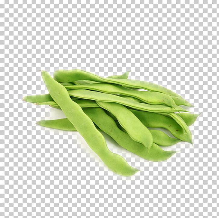 Snow Pea Vegetable Green Bean Fruit PNG, Clipart, Bean, Bell Pepper, Cabbage, Commodity, Common Bean Free PNG Download