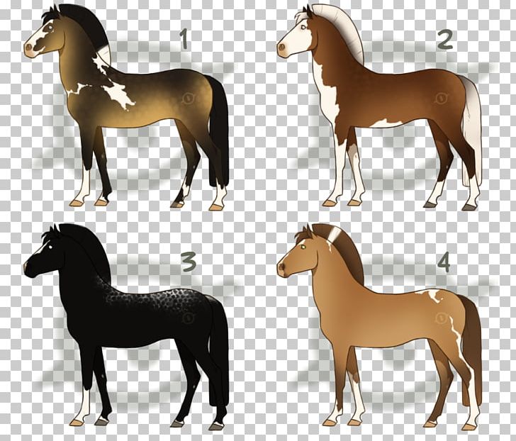 Mustang Foal Stallion Mare Colt PNG, Clipart, Animal, Colt, Foal, Horse, Horse Like Mammal Free PNG Download