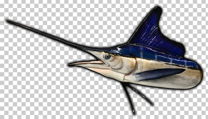 Swordfish Marlin Fishing White Marlin Atlantic Blue Marlin PNG, Clipart, Atlantic Blue Marlin, Billfish, Bony Fish, Coast To Coast Am, Dryerase Boards Free PNG Download